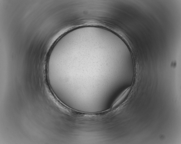 X0000113141142200909251258