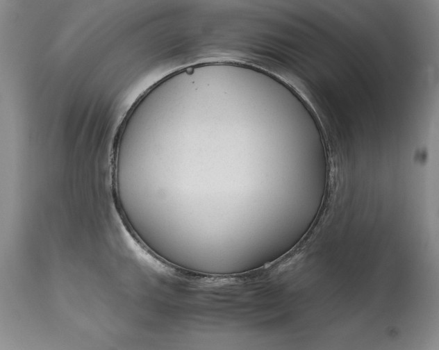 X0000113141143200909251258