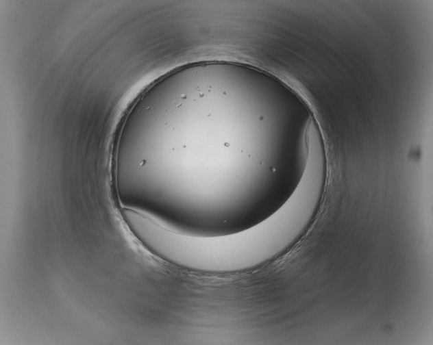 X0000113141144200909251258