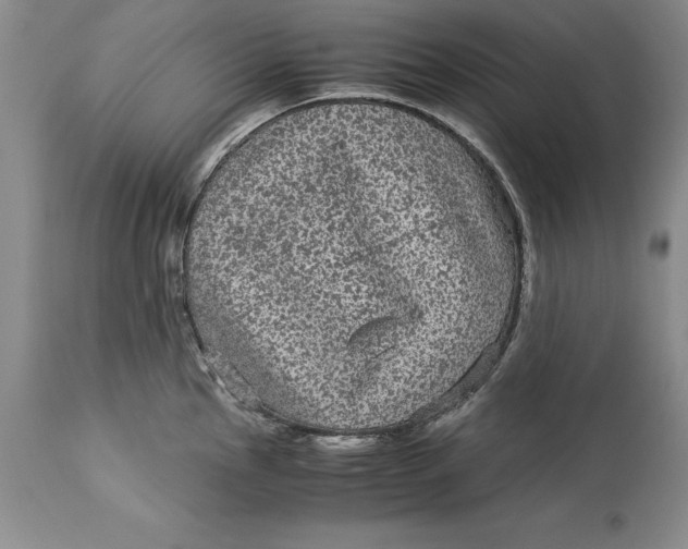 X0000113141145200909251258