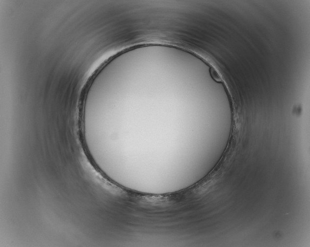 X0000113141147200909251258