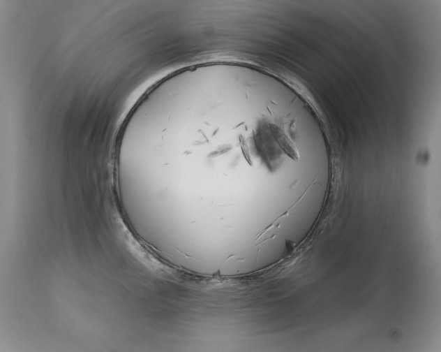 X0000113141148200909251258