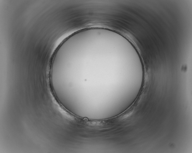 X0000113141149200909251258