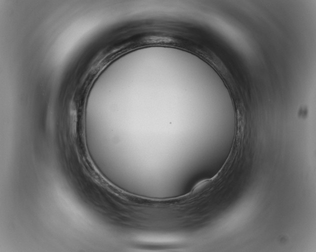 X0000113141151200909251258