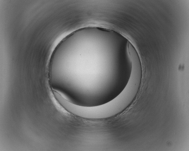 X0000113141152200909251258