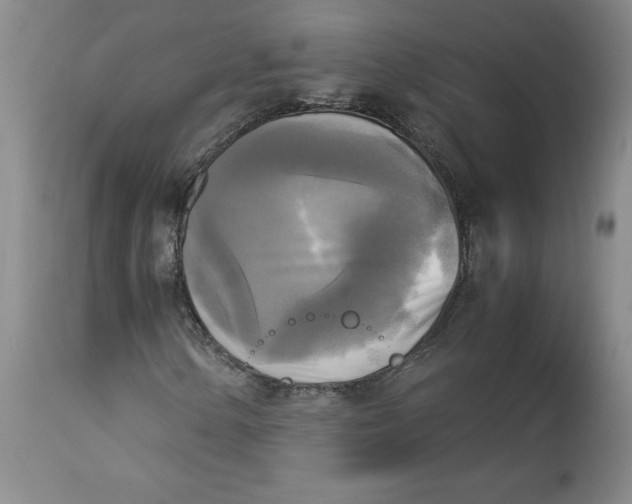 X0000113141154200909251257