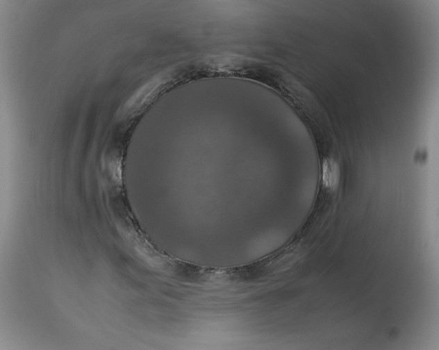 X0000113141155200909251257