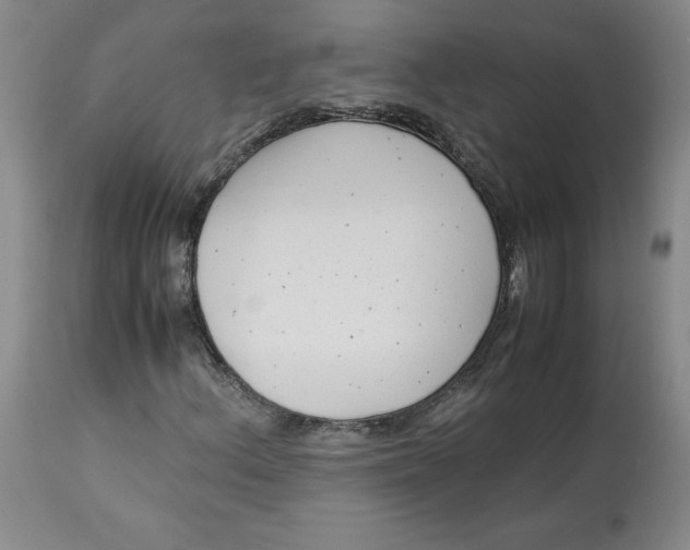 X0000113141156200909251257