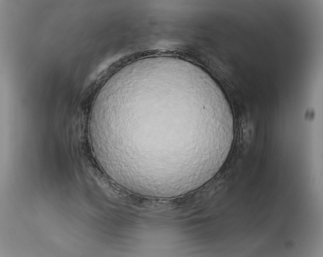 X0000113141158200909251257