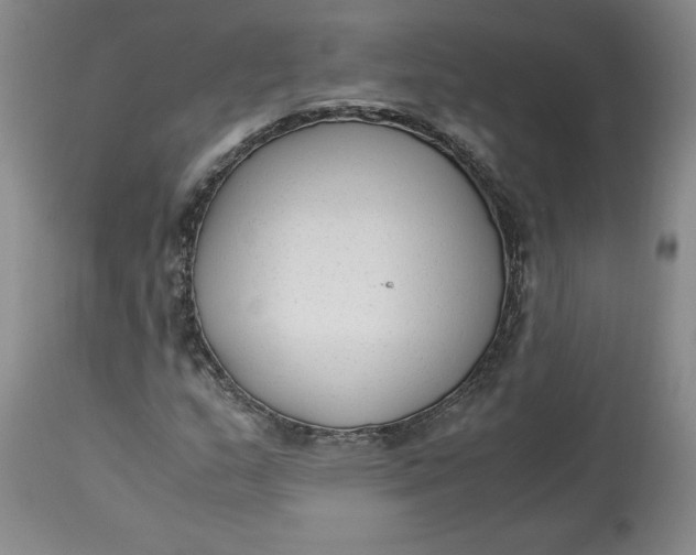 X0000113141159200909251257