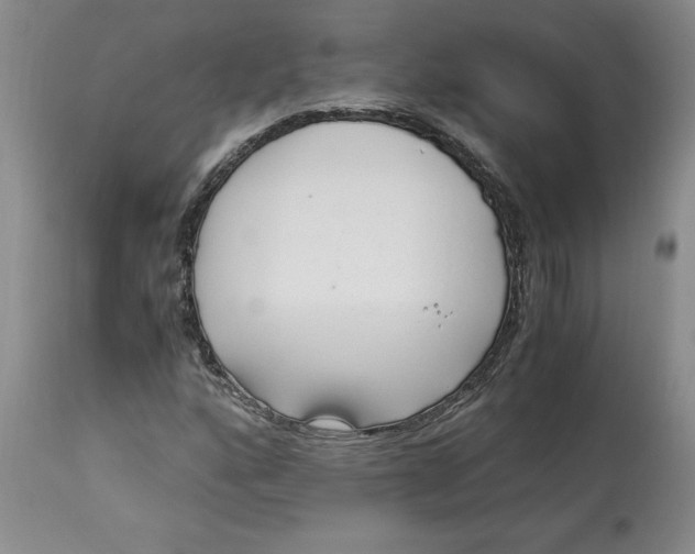 X0000113141160200909251257