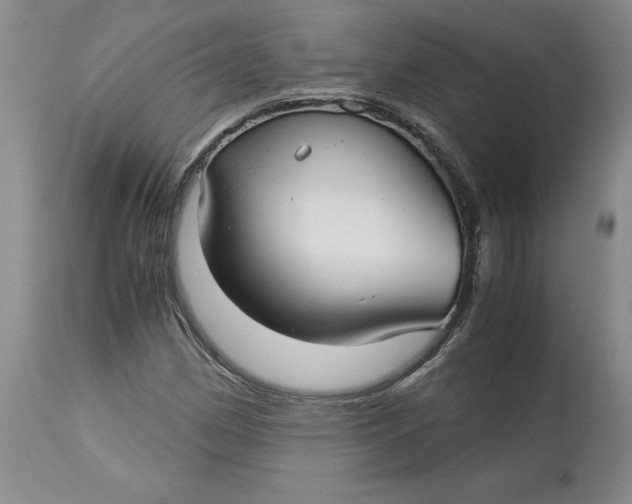 X0000113141162200909251257