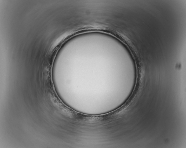 X0000113141163200909251257