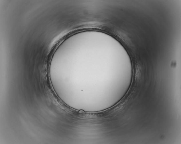 X0000113141164200909251257