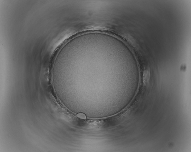 X0000113141165200909251257