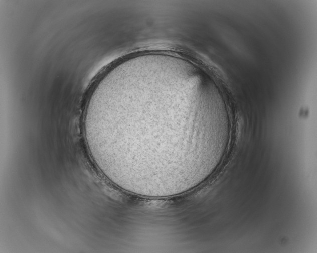 X0000113141166200909251257