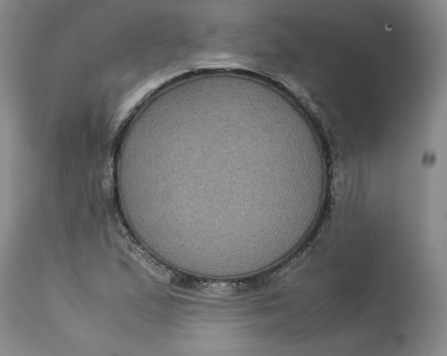 X0000113141167200909251257