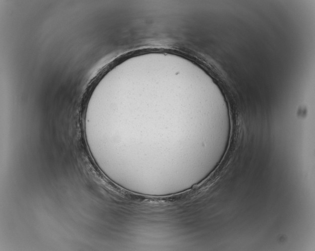 X0000113141168200909251257