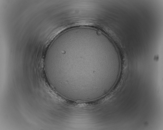 X0000113141169200909251257