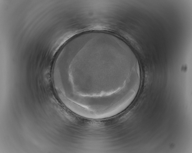 X0000113141170200909251257