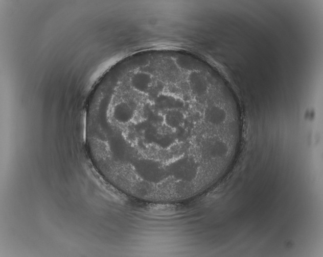 X0000113141171200909251257