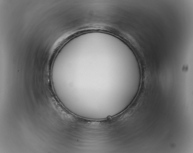 X0000113141172200909251257