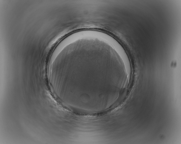 X0000113141173200909251257