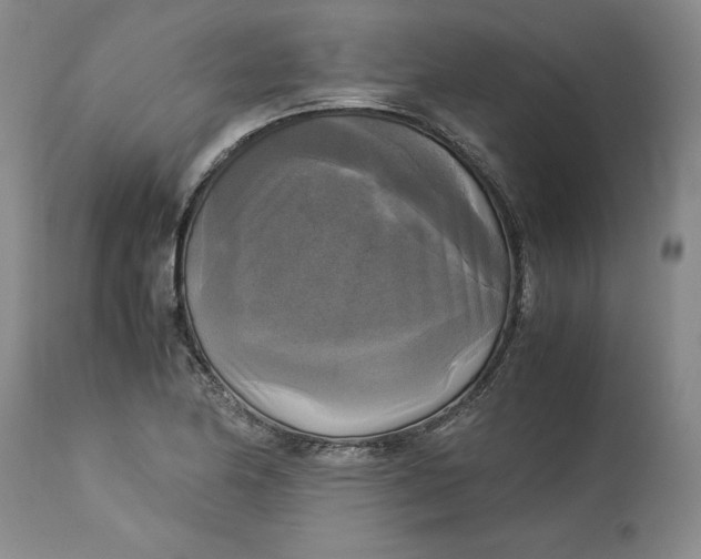 X0000113141174200909251257