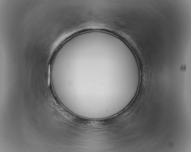 X0000113141175200909251257