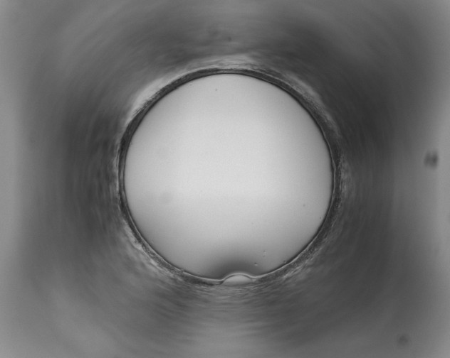 X0000113141176200909251257