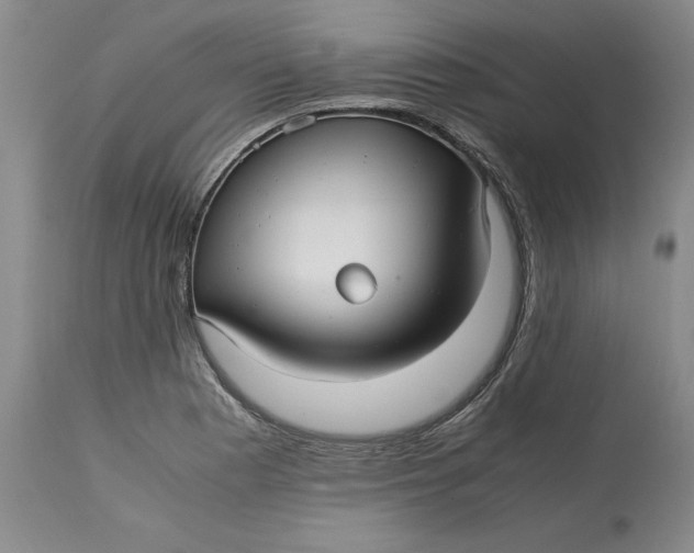 X0000113141177200909251257