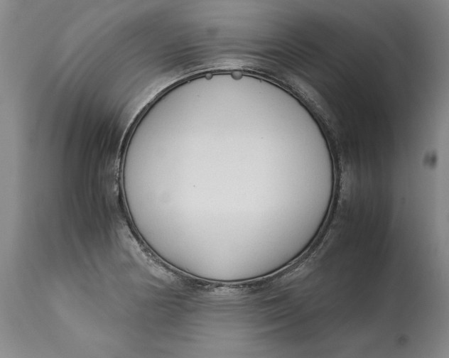 X0000113141178200909251257