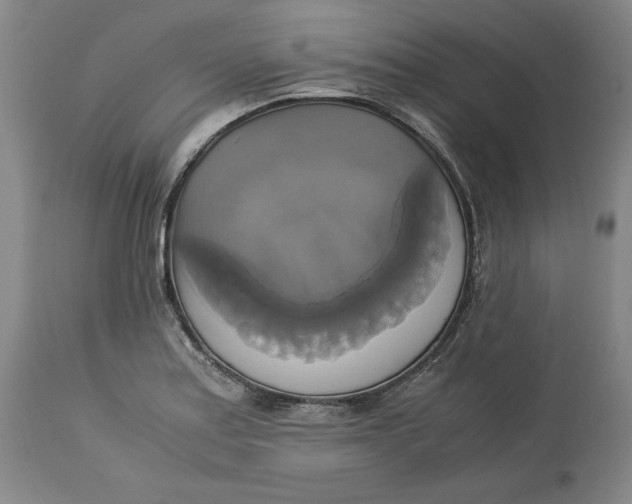 X0000113141179200909251257