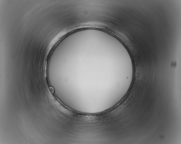 X0000113141180200909251257