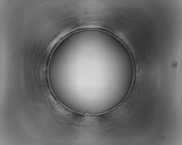 X0000113141181200909251257