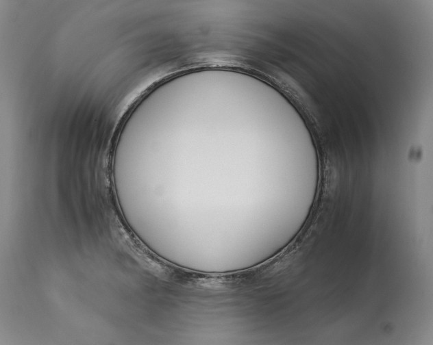 X0000113141182200909251257