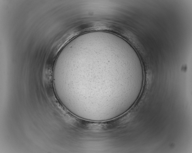 X0000113141185200909251256