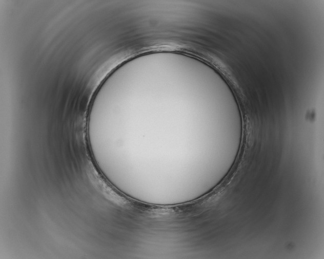 X0000113141186200909251256