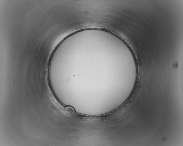 X0000113141187200909251256