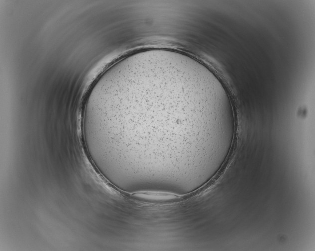 X0000113141188200909251256