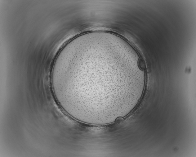 X0000113141189200909251256