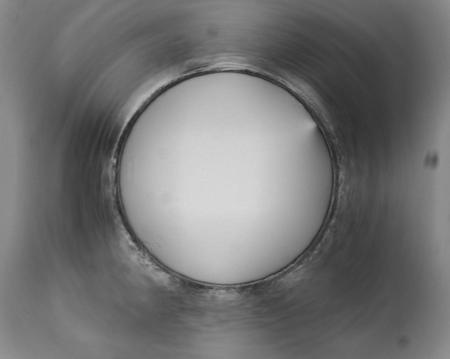 X0000113141190200909251256