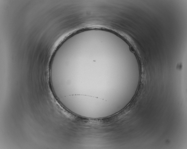 X0000113141191200909251256