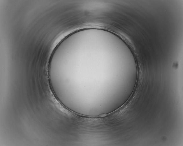 X0000113141192200909251256