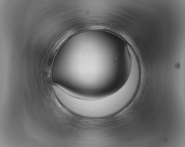 X0000113141193200909251256