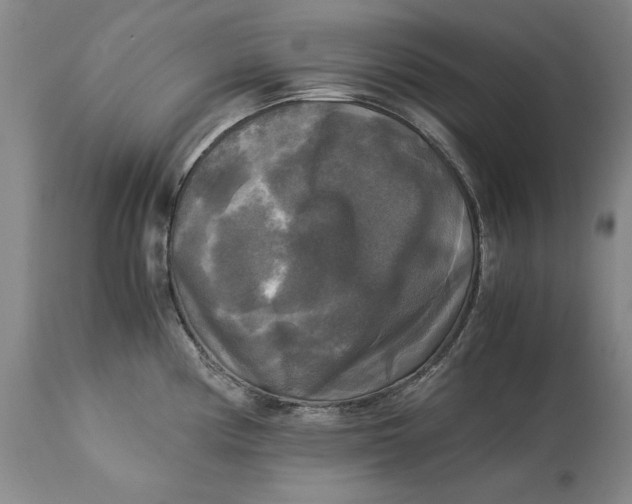 X0000113141194200909251256