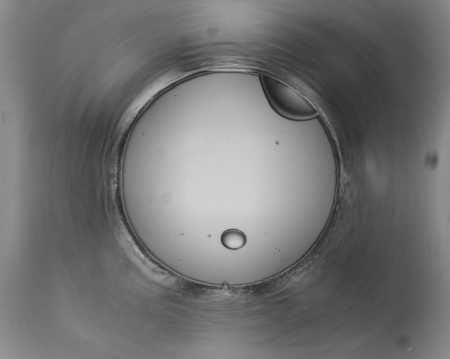 X0000113141195200909251256