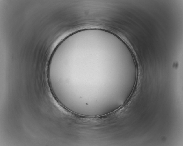 X0000113141197200909251256