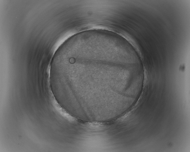 X0000113141198200909251256