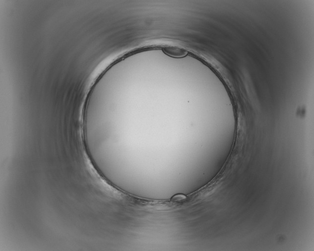 X0000113141199200909251256